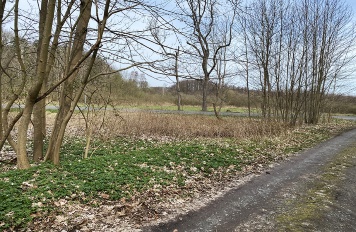 M20 NSG Zerninsee geplant M20 NSG Zerninsee geplant